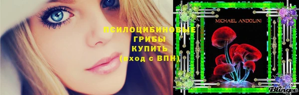 спайс Алексин