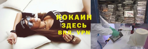 спайс Алексин