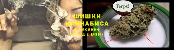 спайс Алексин