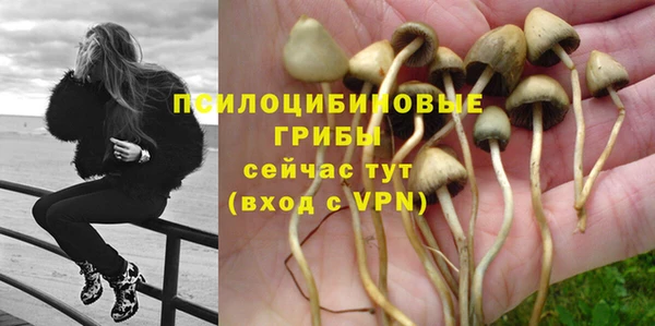 спайс Алексин