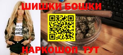 прущие крисы Кингисепп
